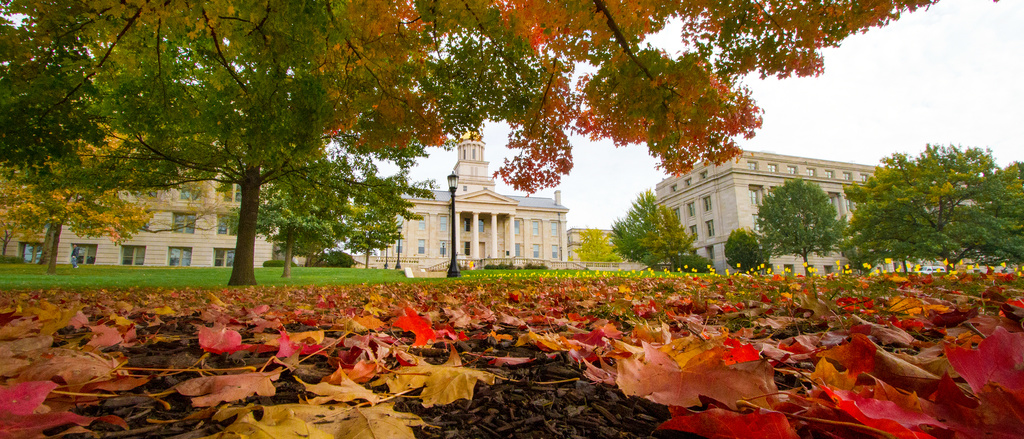 The Old Capitol building appearing through the trees.